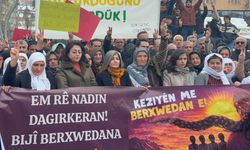Hakkari’de Rojava için yürüyüş düzenlendi