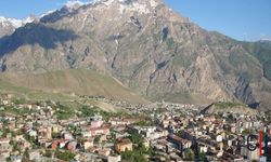 Psikolog Taş: Hakkari'deki şüpheli ölümler ele alınmalı