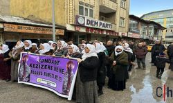 Barış Anneleri’nden Hakkari'den Çağrı: Mürşitpınar Sınır Kapısı Yardım TIR’larına Açılsın