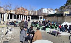 Hakkâri’de Kış Ortasında Bahar Sürprizi