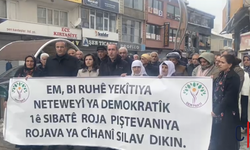 Hakkari DEM Parti’den 1 Şubat Dünya Rojava Günü Açıklaması