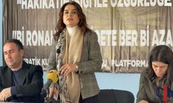 Hakkari’de Konuşan Gülistan Kılıç Koçyiğit: Kürt Sorunu Güvenlikçi Politikalarla Çözülemez