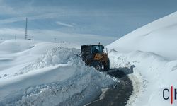 Hakkari İl Özel İdaresi'nden: 2.800 rakımda karla mücadele çalışması