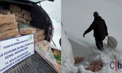 Hakkâri’de Zorlu Kış Şartlarında Yaban Hayatına Yem Desteği