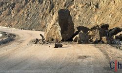 Hakkari-Van Karayolunda Kaya Düşmesi: Sürücüler Facianın Eşiğinden Döndü