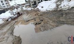 Hakkari’de Mahalle Yolu Çamur ve Çukurlarla Ulaşımı Felç Etti