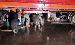 Hakkari’den Yola Çıkan Milyonluk Uyuşturucu Cizre’de Ele Geçirildi