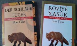 Yüreği Kadar Yer Kaplayan Masallar: Rovîyê Xasûk Çocuklara ve Gençlere Felsefeyle Sesleniyor