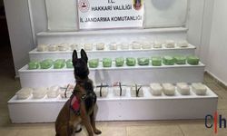 Hakkari’de Zehir Tacirlerine Darbe: 1 Gözaltı