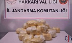 Hakkari’de TIR’da 15 Kilo Metamfetamin Ele Geçirildi