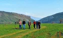 Hakkari’de Kış, Derecik’te Bahar: Nergisler İlgi Görüyor