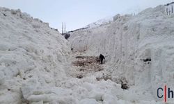 Hakkari'de Çığ Felaketi: Meyve Bahçeleri Zarar Gördü, Yol Kapandı