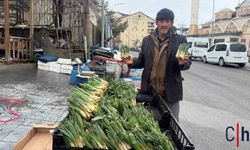 Hakkari’de Baharın Habercisi Çiriş Otu Tezgâhlarda