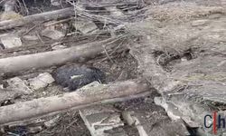 Yoğun Yağış Felakete Yol Açtı: 20 Küçükbaş Hayvan Telef