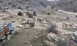 Hakkâri’de Sel Felaketi: 150 Arılı Kovan Sulara Kapıldı