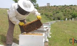 Sezon Yavaş Yavaş Açılıyor, Arıcıların Umudu Büyük
