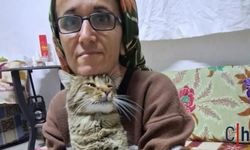 Aile İçi Dehşet: Yeğenini Öldürdü, 2 Kişiyi Yaraladı