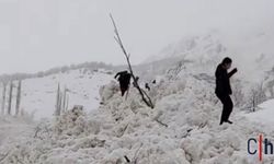 Hakkari'de Tehlike Devam Ediyor: Aynı Bölgede İkinci Çığ