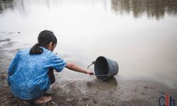 Su ve Orman Alarmı: TEMA’dan Eşitsizlik ve “Su İflası” Uyarısı