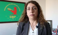 DEM Partili Salihe Aydeniz, Görevinden İstifa Etti