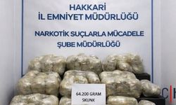 Hakkâri'de 64 Kilo Skunk Ele Geçirildi