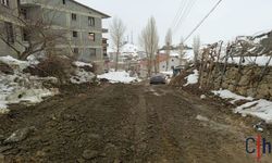 Hakkari Belediyesi’nden Yol Bakım Çalışması