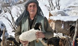 Besiciler Destek Bekliyor, Göç Artıyor