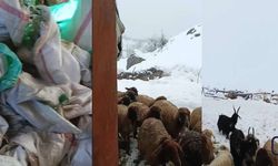 Hakkâri’de Kar Esareti: Kamışlı Köyünde Çiftçiler Yem Desteği Bekliyor