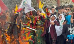 DEM Parti Hakkari İl Örgütü’nden Newroz Teşekkürü