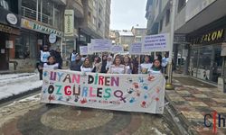 KESK Hakkâri Şubesi: “Eşitlik ve Özgürlük İçin Mücadeleyi Büyüteceğiz”