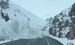 Güzeldere Tüneli Yakınında Çığ Felaketi: Hakkâri-Van Yolu Ulaşıma Kapandı