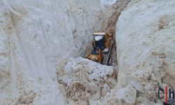 Hakkari'de 8 Metrelik Kar: Açılan Yollar Tüneli Andırdı