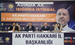 AK Parti Hakkari Teşkilatı Sahaya İndi: Nisan Ayı Toplantısı Yapıldı