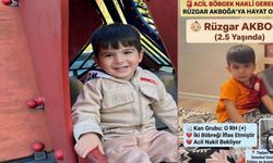 Hakkari’den yürek burkan çağrı