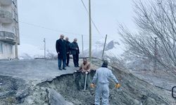 Hakkari’de Yağış Sonrası Alarm: Heyelanlar ve Çöken Yollar İçin Seferberlik