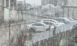 Yüksekova’da Yoğun Kar ve Sis Hayatı Olumsuz Etkiledi