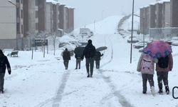 Nisan Ortasında Kış Geri Döndü: Yüksekova Beyaza Büründü