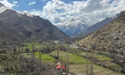 Cevizli Köyü’nde Üretim İçin Yol ve Köprü Çağrısı
