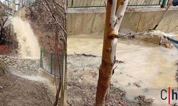 Hakkari’de dere taştı: Bir evin bahçesi sular altında kaldı