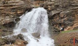 Hakkari'de Beyaz Su Şelalesi Baharla Coştu