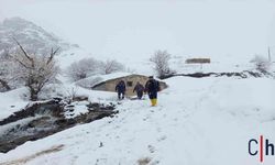Hakkari’de Kar ve Yağışa Rağmen Çalışmalar Sürüyor