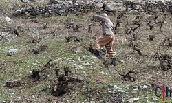 Aynı Gün İki Mevsim: Zirvede Kar, Köyde Bahar