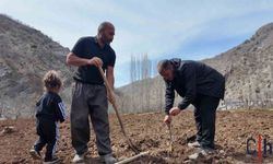 Çiftçi Devlet Desteğiyle Boş Arazisini Meyve Bahçesine Dönüştürdü