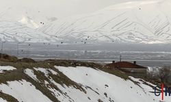 Yüksekova’da Şiddetli Rüzgar ve Sağanak Kuşları Zorladı