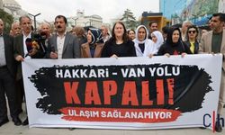 Van’da "Yol" İsyanı: "Tek Bir Heyelan İki Kenti Dünyadan Kopardı!"
