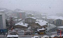 Colemêrg’te Kar ve Heyelan Etkili Oldu