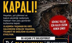 Hakkari’den sosyal medyada çağrı: “Colemêrg–Wan yolu açılsın”