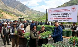 Hakkâri’de Çiftçiye Büyük Destek: Yüzde 75 Hibeli Sebze Fideleri Geliyor!
