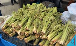 Hakkari’de Uçkun Mesaisi Başladı: Dağların "Eşkı" Lezzeti Cep Yakıyor!