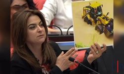 Koçyiğit’ten Meclis’te Hakkâri Çıkışı: “Yollar Kapalı, Hakkâri Sahipsiz mi?”